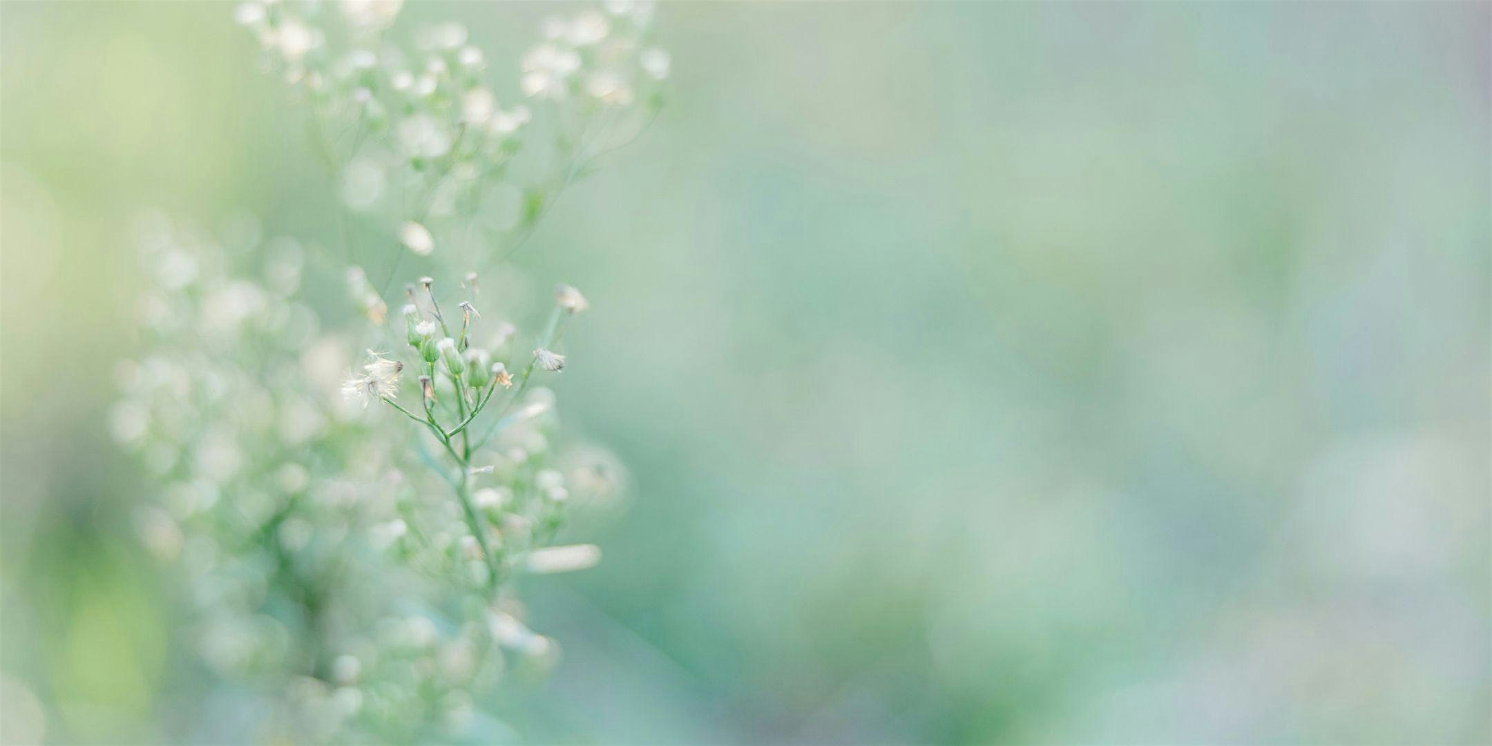 Reclaiming Your Strengths as a Highly Sensitive Person
