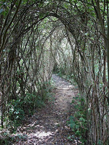 Willow Tunnel Maintenance CPD