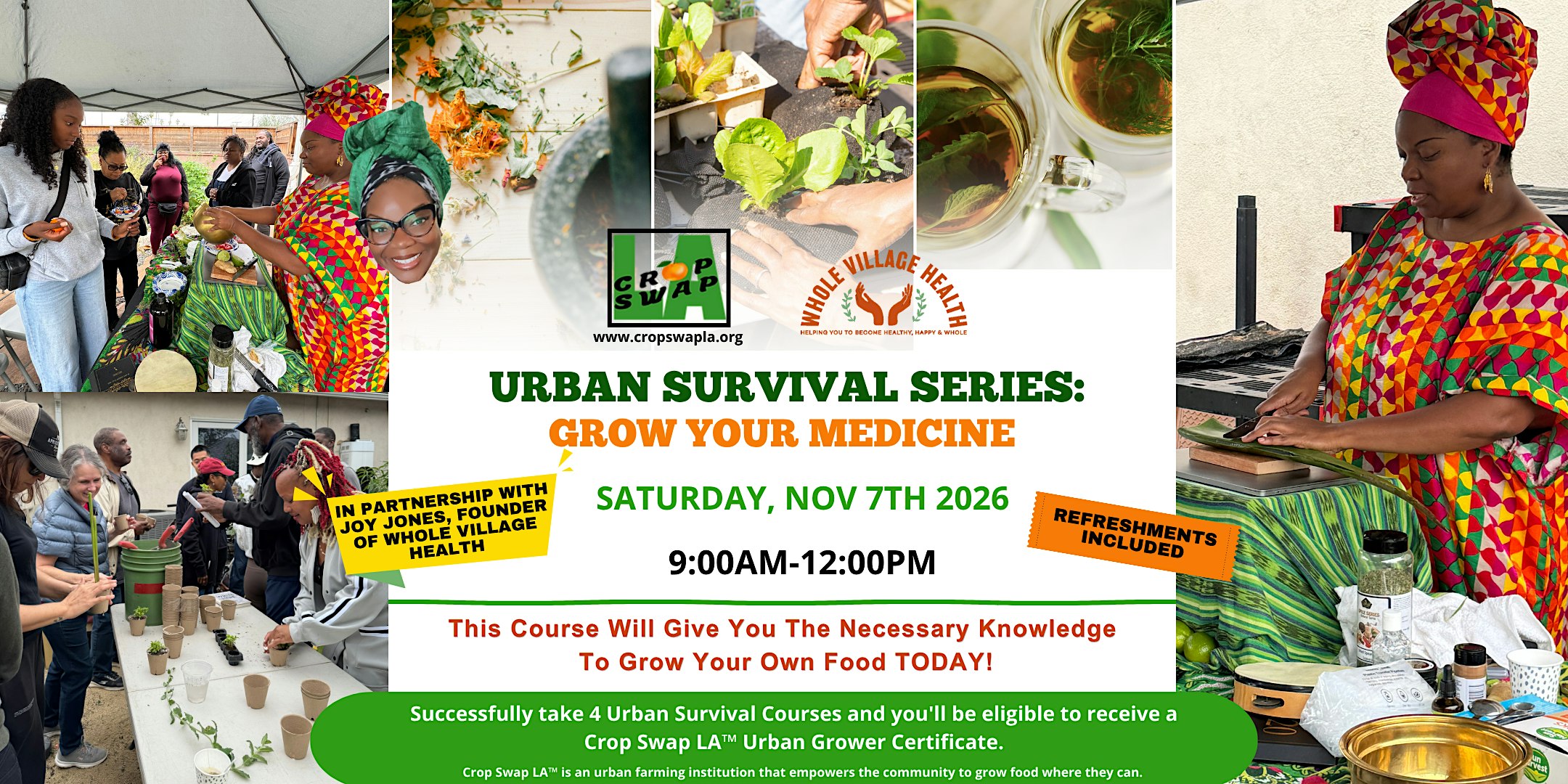 Urban Survival: Grow Your Own Medicine