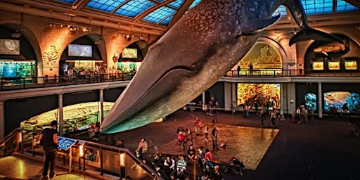 Museum Of Natural History Scavenger Hunt