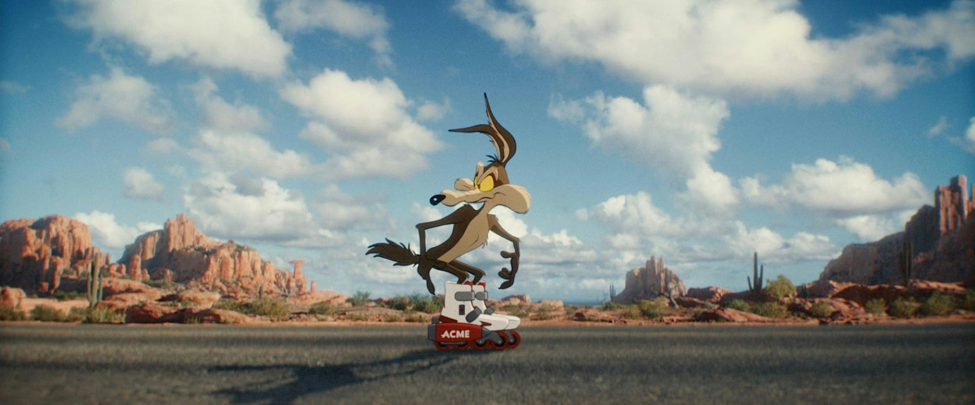 Coyote vs. Acme