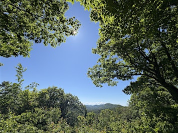Guided Group Forest Therapy