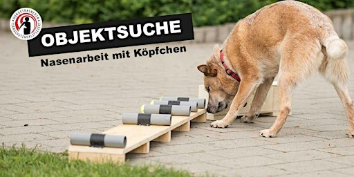 Objektsuche