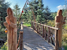 Adventure Walk in Dorlindon Forest - Family Friendly