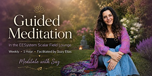 Guided Meditation in the EESystem Scalar Field Lounge