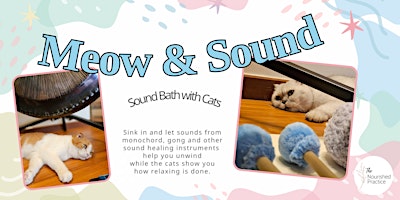 Sound Bath with Cats | A Sound Healing Experience with Monochord & Gong
