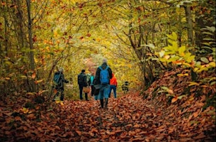 Forest Escape from Paris-Maisons Laffitte & Saint-Germain-En-Laye