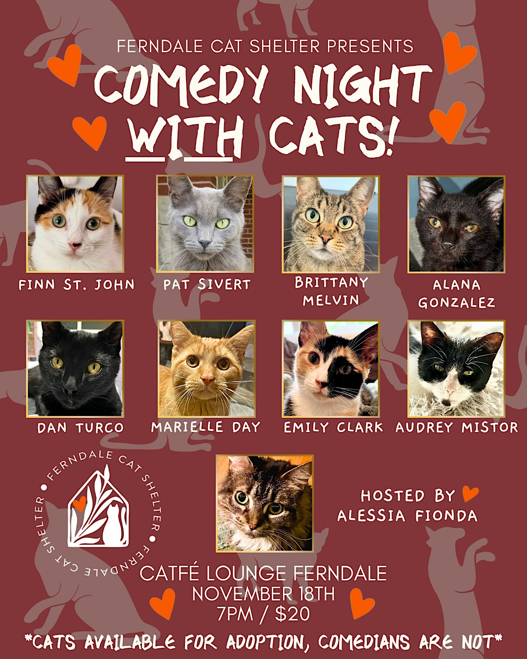 Comedy Night with Cats!