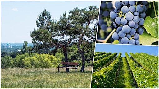 Hike & Learn: Southern Vineyards