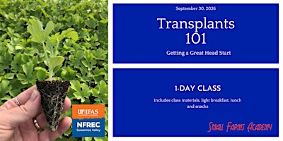 Transplants: Getting a Great Head Start