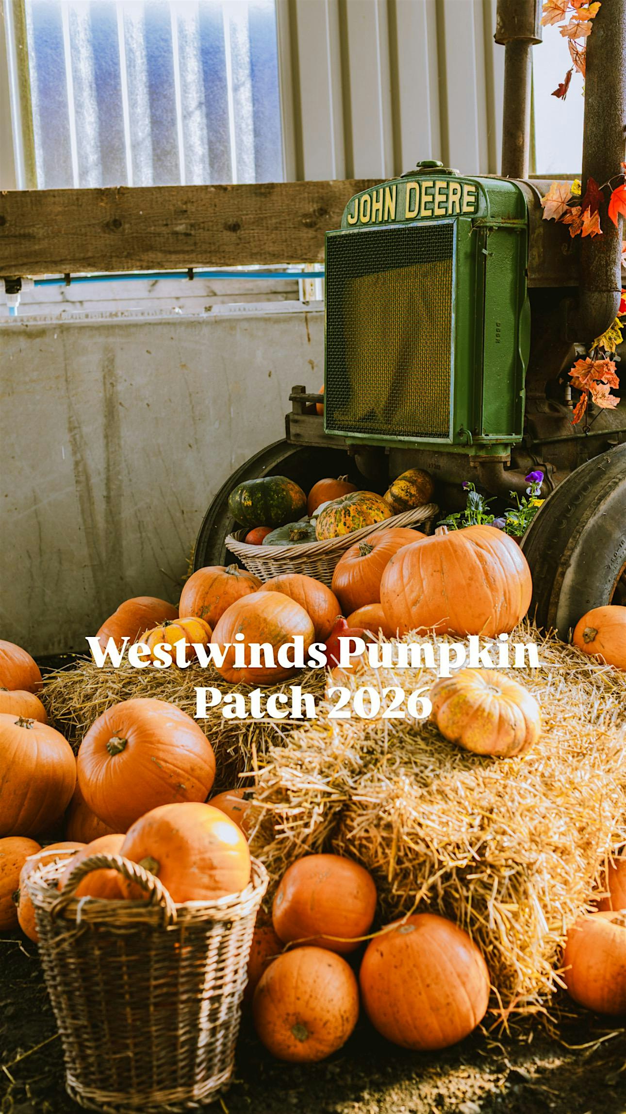 Westwinds Pumpkin Patch - 1 ticket per car, not per person