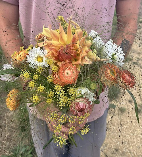 Pick your own flowers