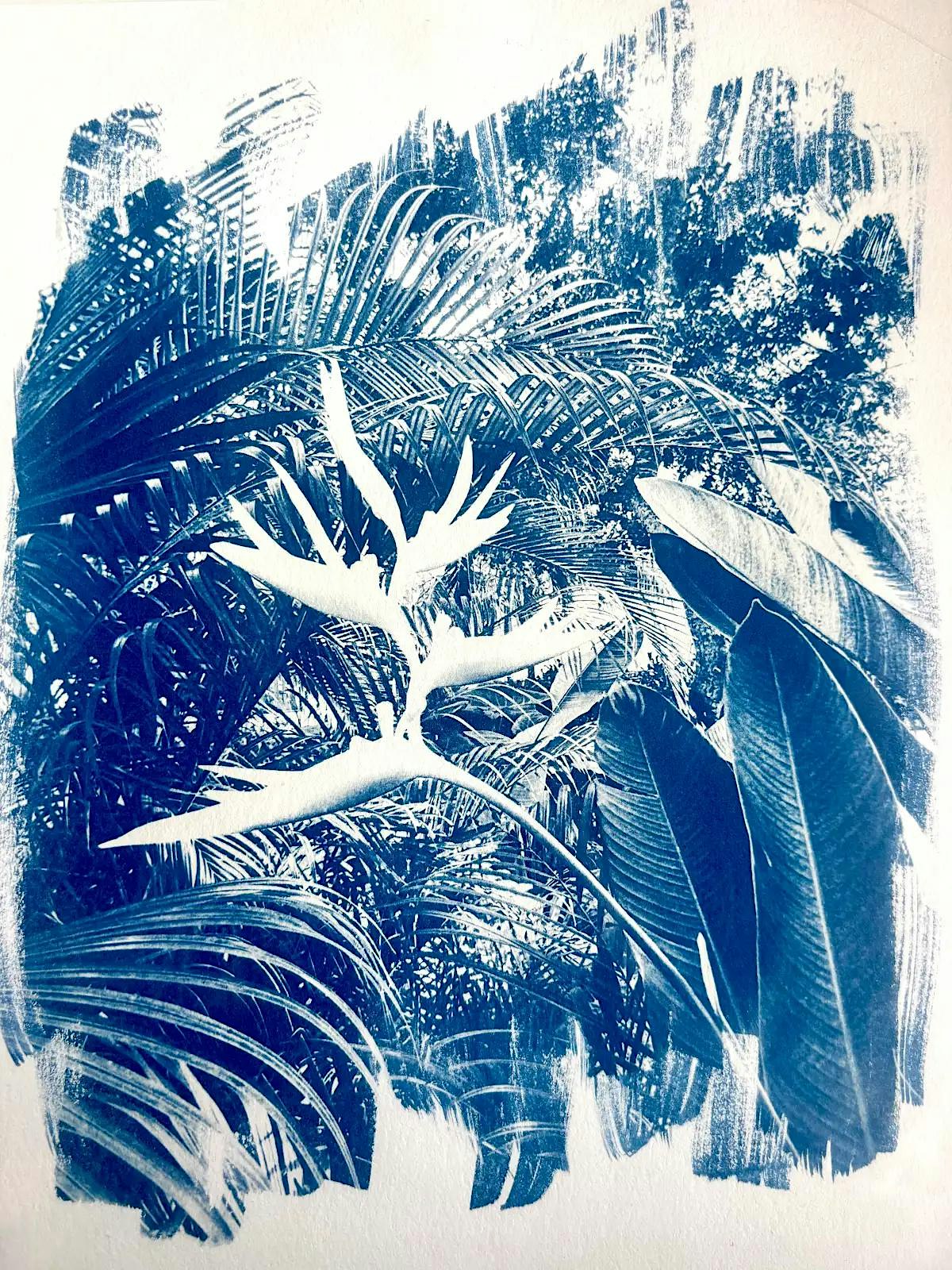 Spanish & English Cyanotype Workshop