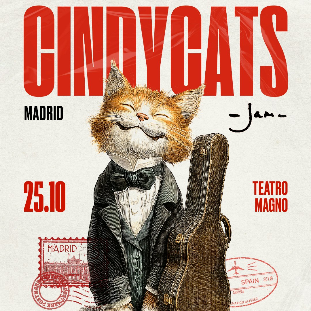 Cindy Cats