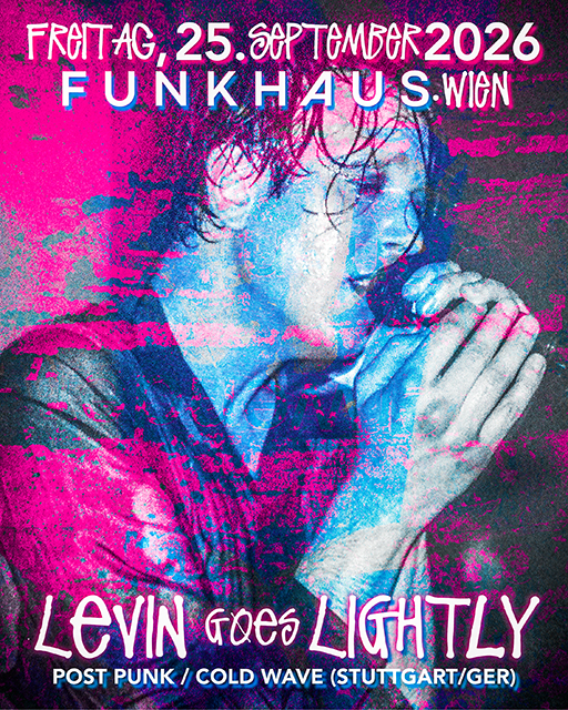 LIVE: Levin goes Lightly x Institut für Schattenarbeit x NEUER DEUTSCHER ACID