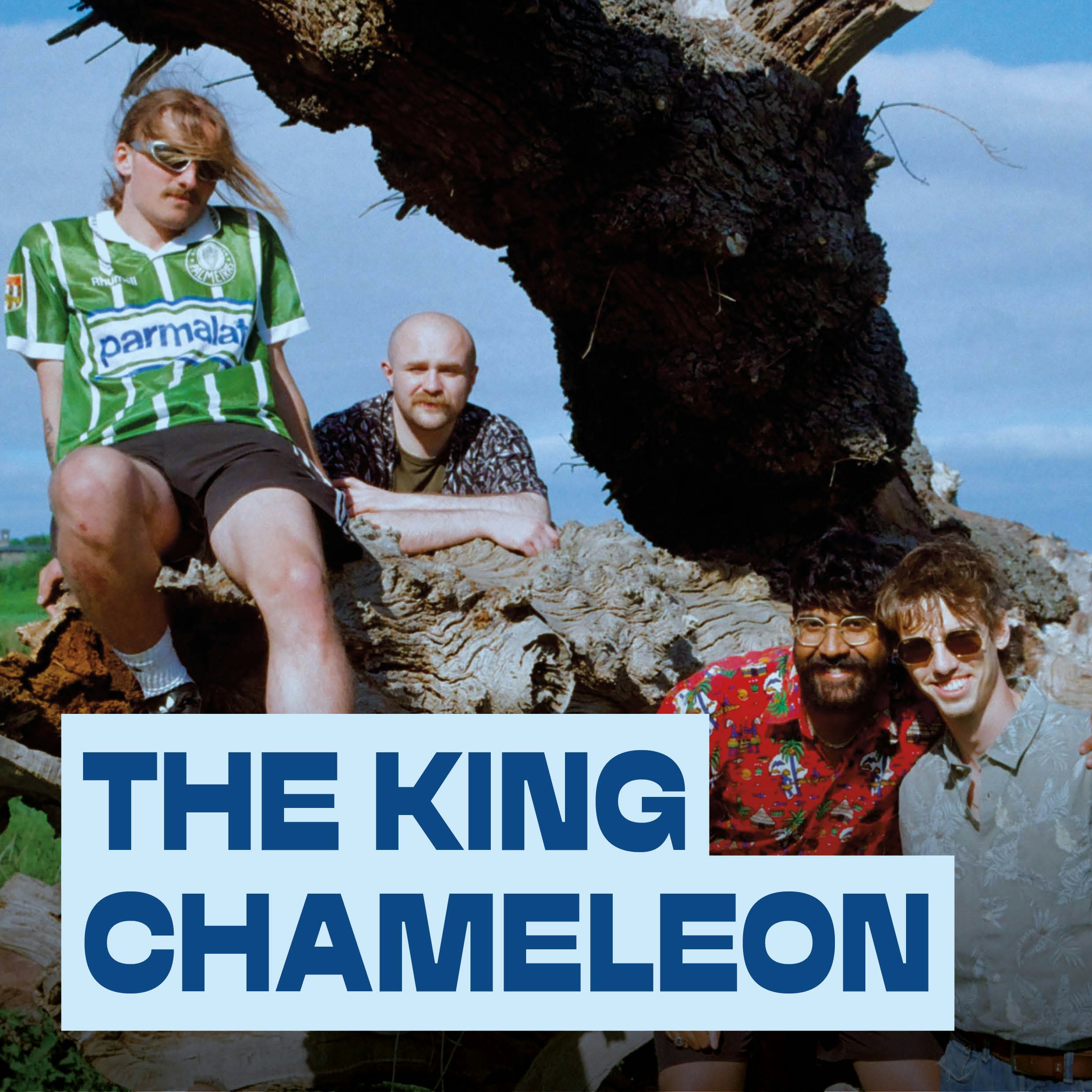 The King Chameleon