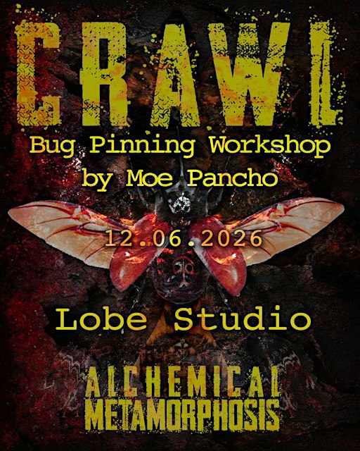 Beetle Pinning Workshop