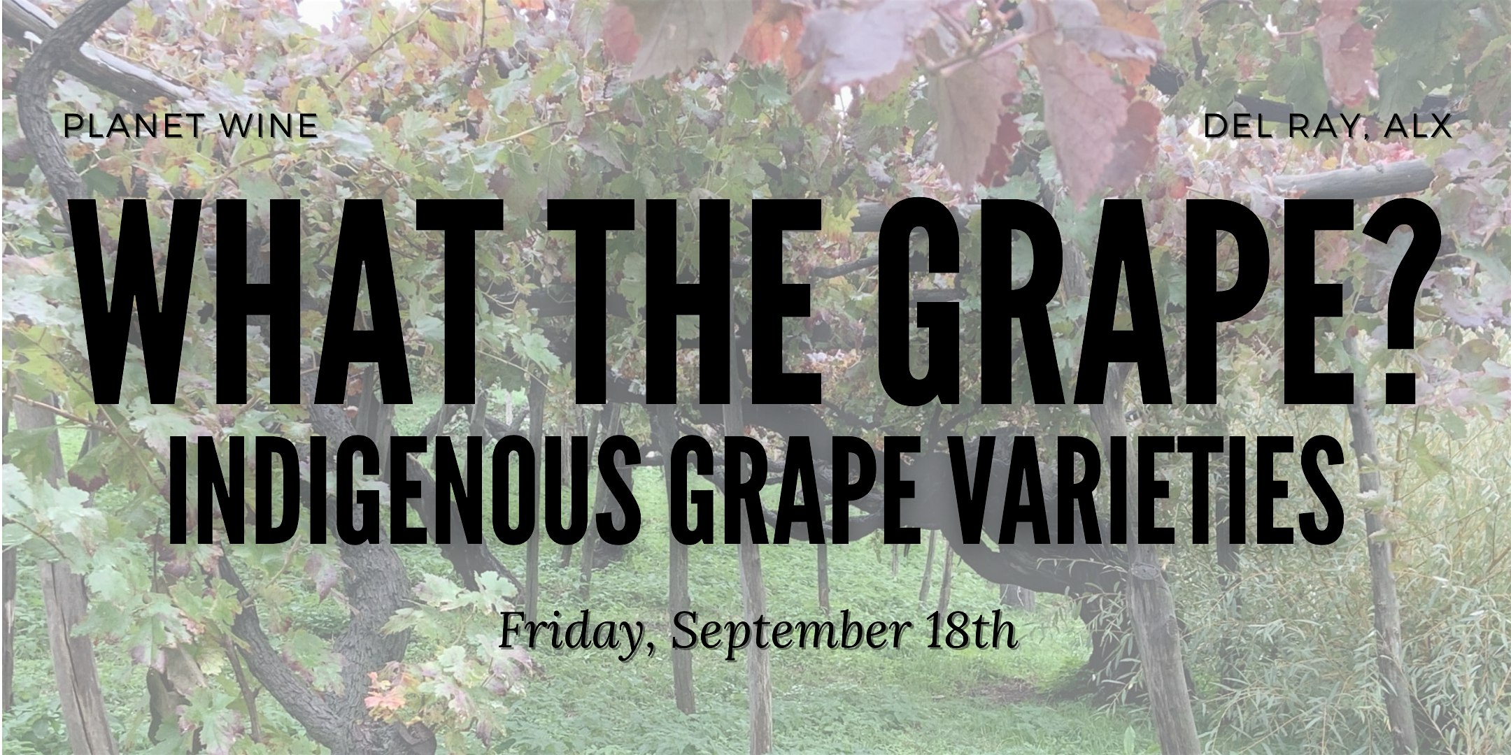 What the Grape?: Indigenous Grape Varieties Around the World