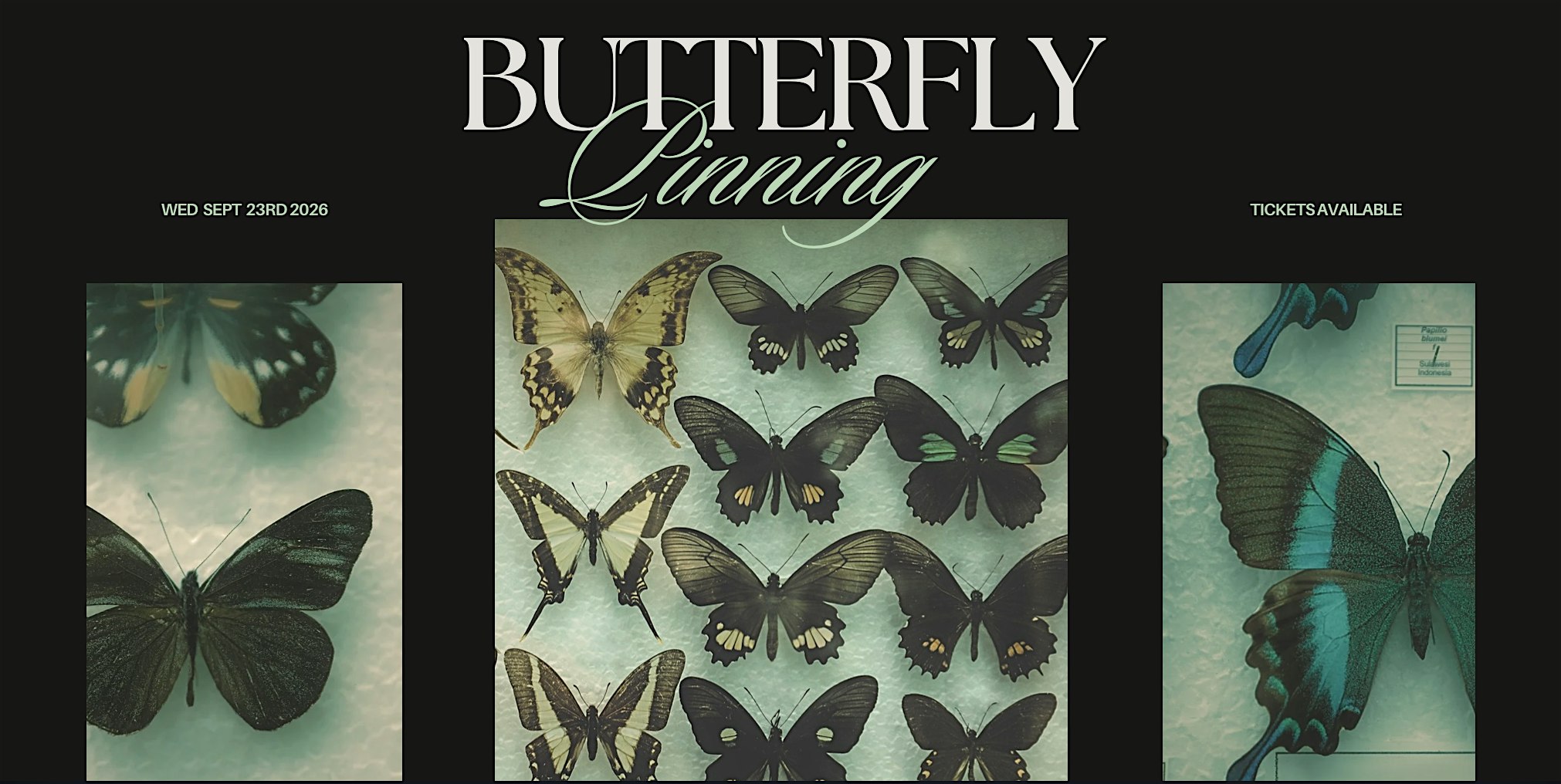 Butterfly Pinning Workshop