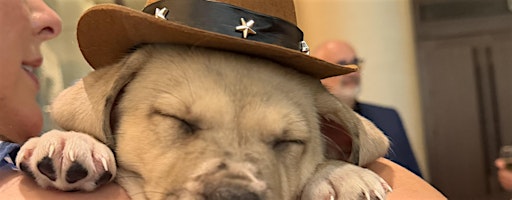 Rescue Puppy Yoga Halloween -  Pet Wants Olde Town Arvada