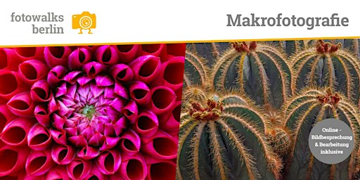 Fotokurs Berlin: Makrofotografie  Indoor  am 21.11.2026 + Bildbesprechung
