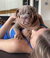 PUPPY YOGA DETROIT