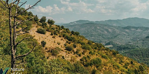 Panoramas and forest on Monte Catillo (Tivoli)