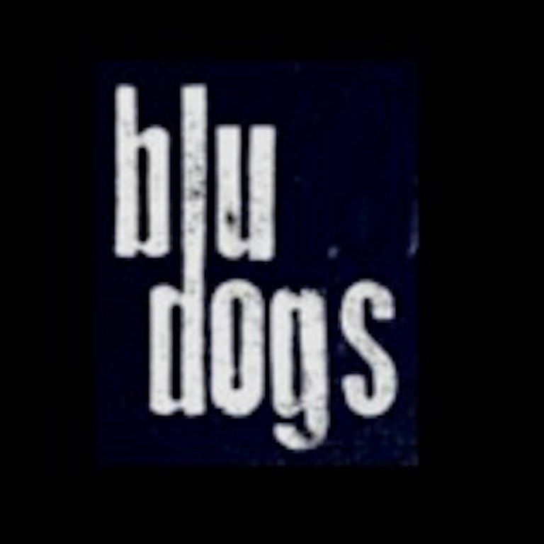 Blu Dogs live at SJQ