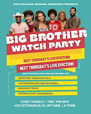 Big Brother Watch Party