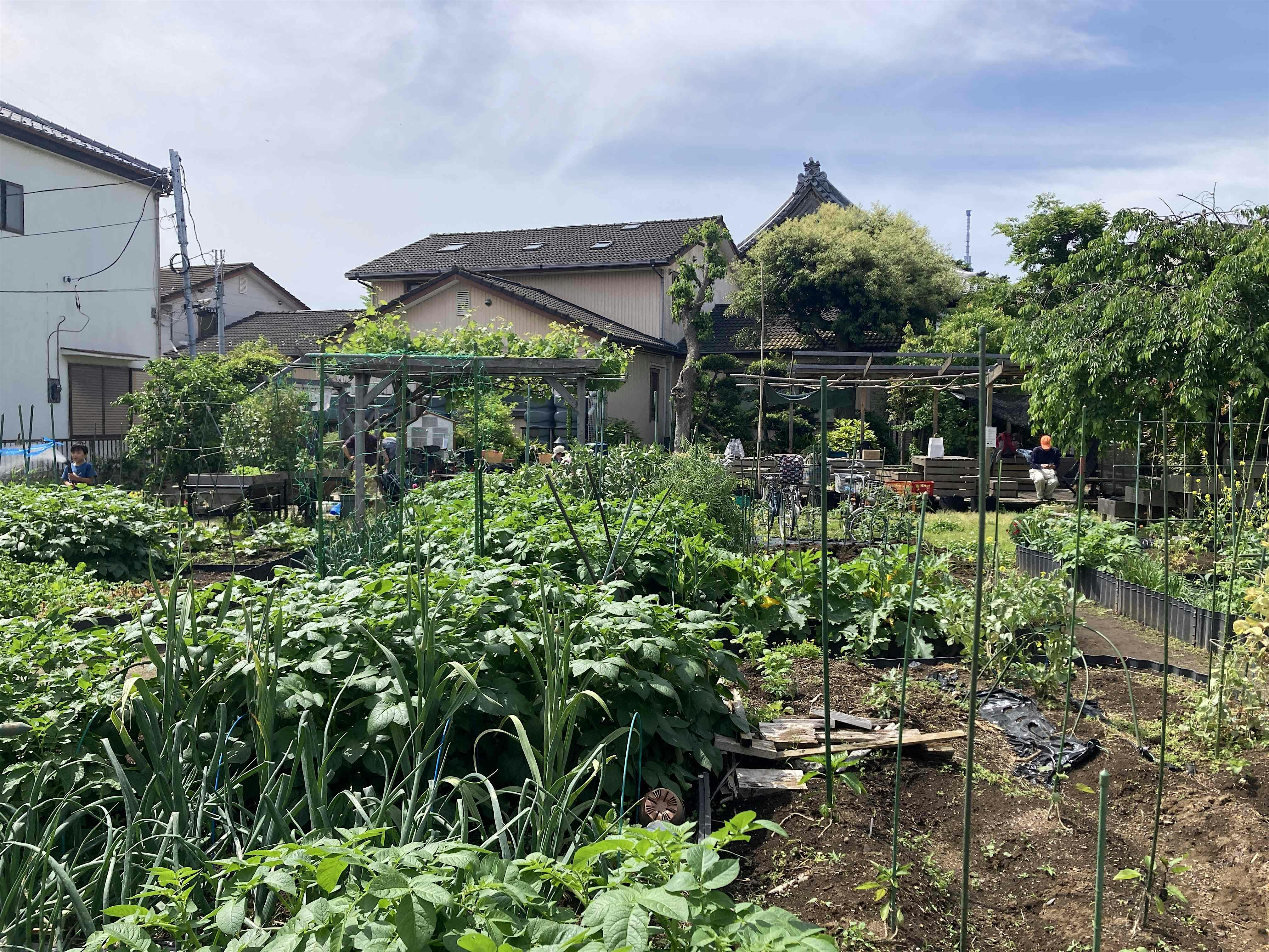 DWIH Tokyo Symposium: Human-Nature Relationships in the Anthropocene