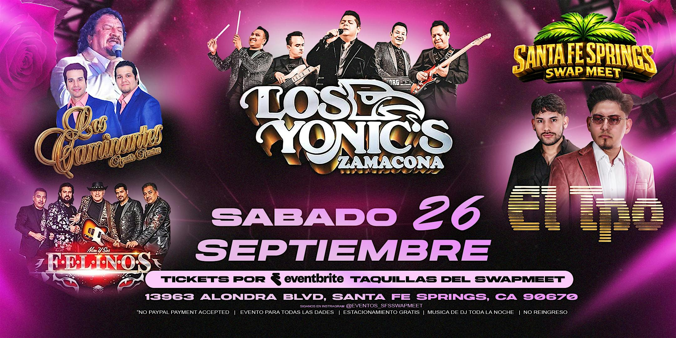 Los Yonics, Los Caminantes, El Tpo y Alan Y sus Felinos
