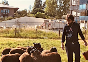 Ville-Campagne : visite des dernières prairies intra urbaines de Bruxelles