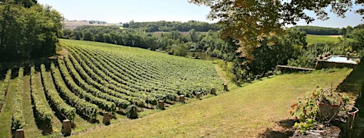 GUIDED WINE TASTING BEAUJOLAIS NOUVEAU