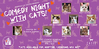 Comedy Night with Cats!