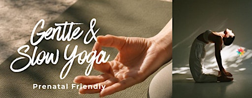 Gentle & Slow Yoga | Prenatal Friendly