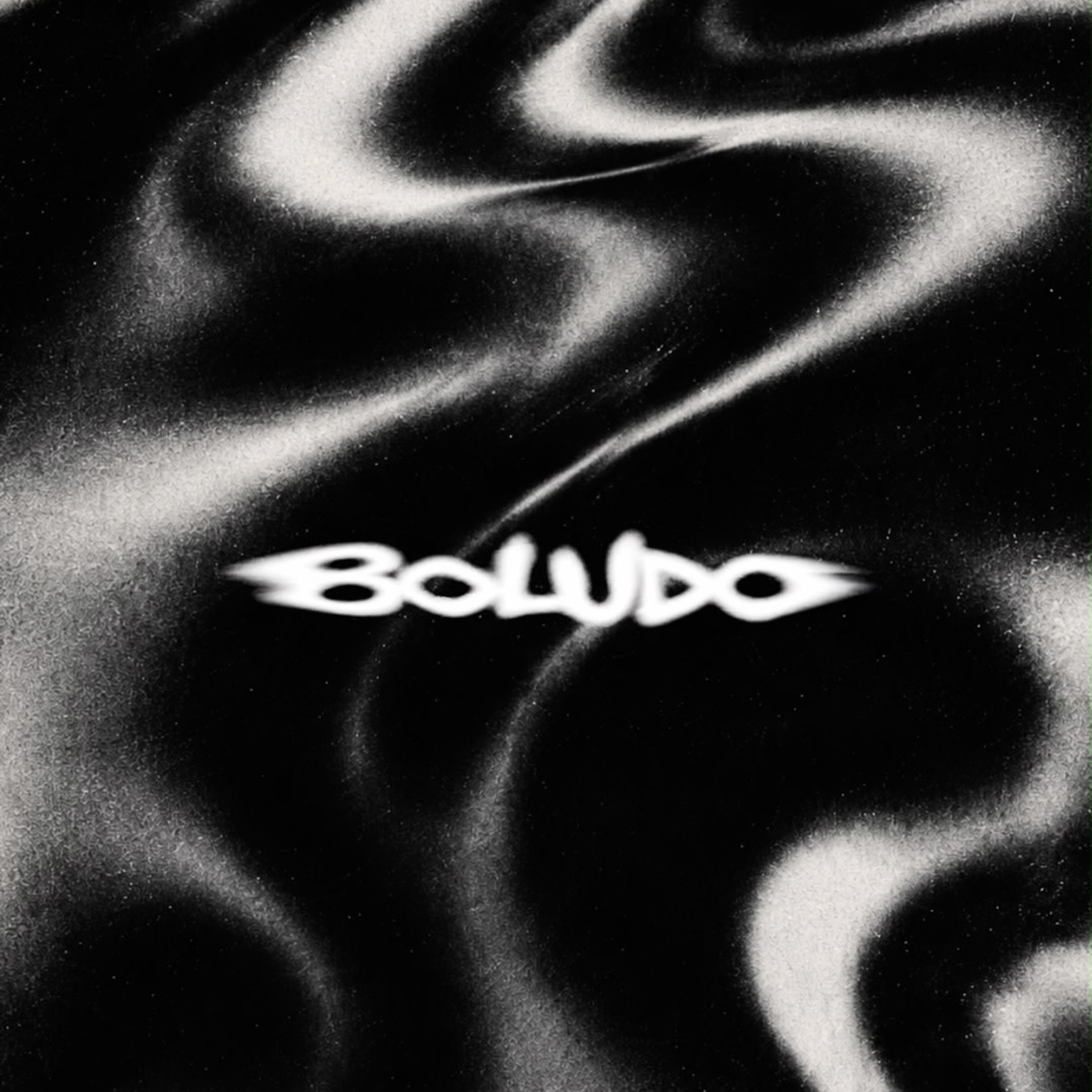 BOLUDO curated by Carmen Lisa powered by El Tony Mate
