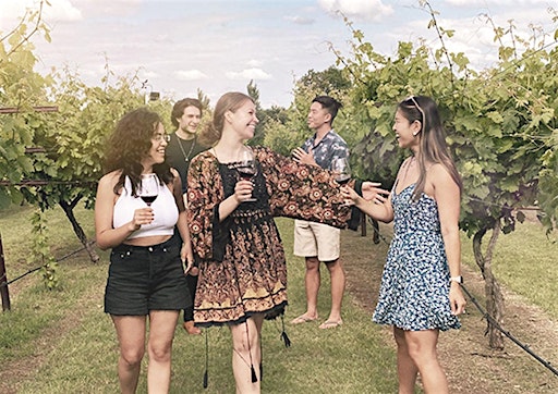 Wine Tour to Eden Hill