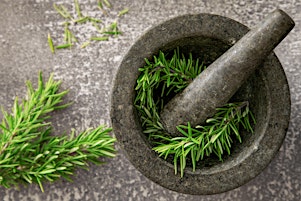 Laboratorio di erbe officinali