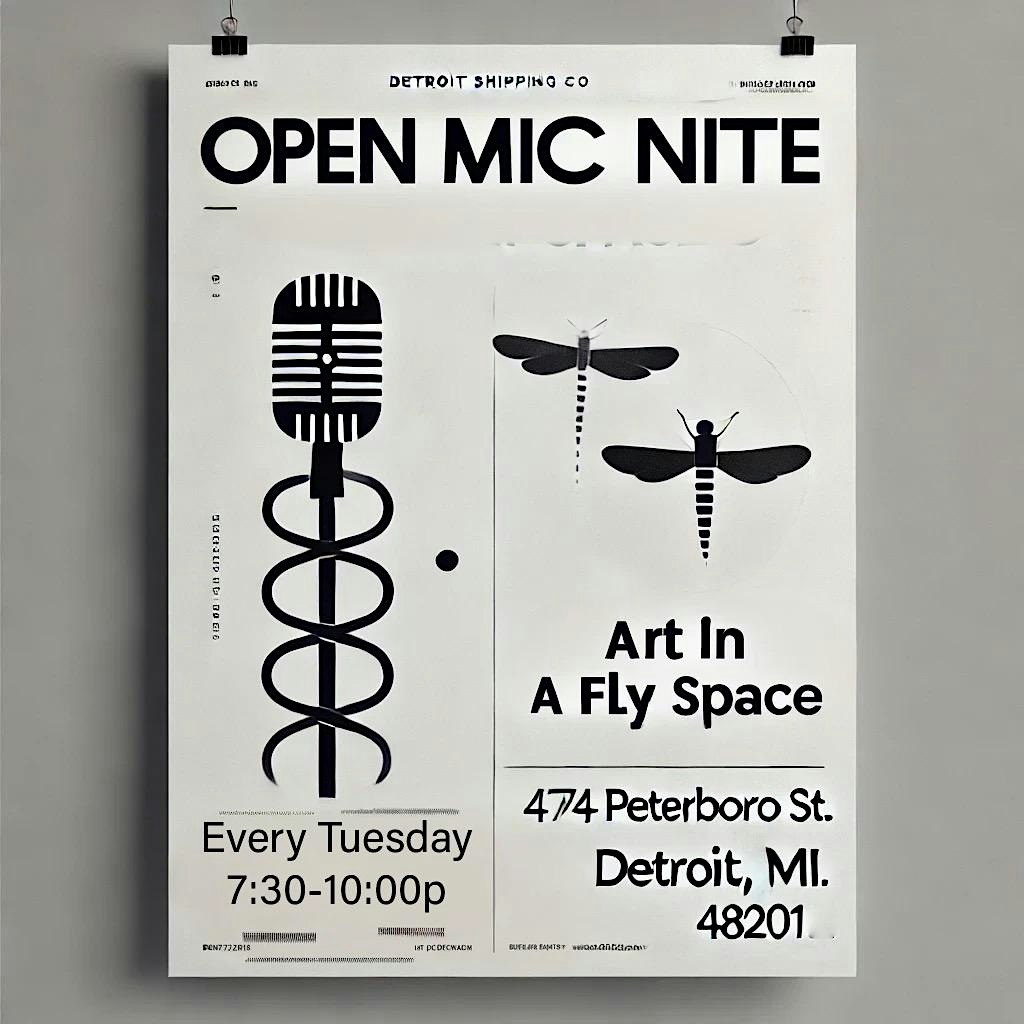 Art in a Fly Space