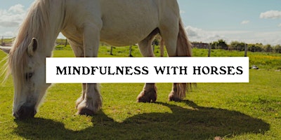 Mindfulness With Horses