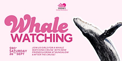 Whale Watching | Sydney Working Holiday Girls