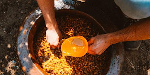 Orange Wein
