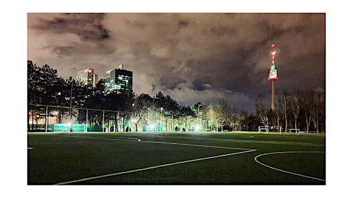 FRIENDLY FOOTBALL FESTIVAL 7v7 Tourney  with 4 Teams