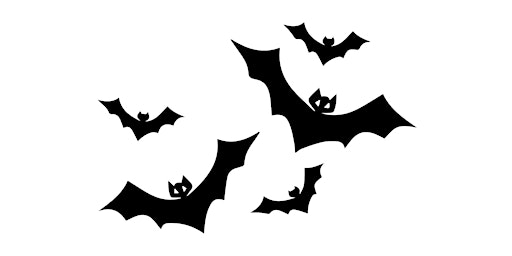 Bat Walk in Oldbury Court Estate/Vassalls Park