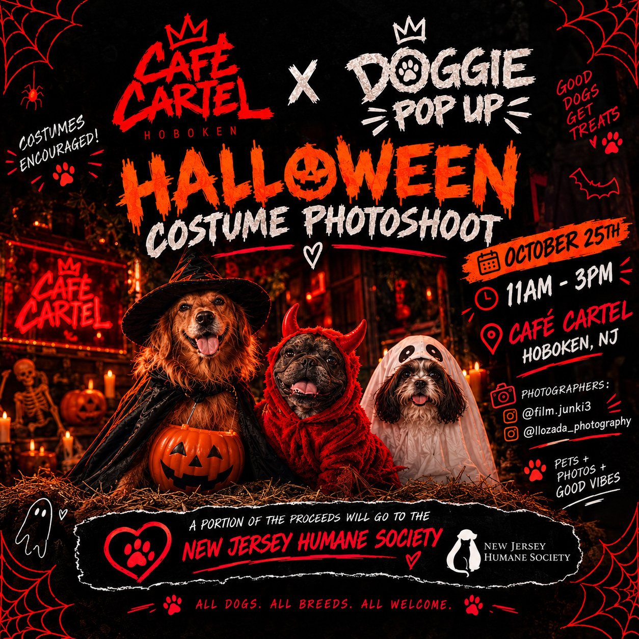 Doggie Halloween Photo Shoot