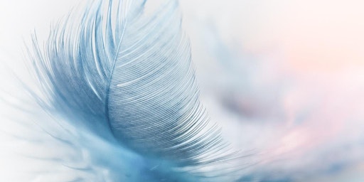 Evolutionary You:  Melbourne Healing Workshop