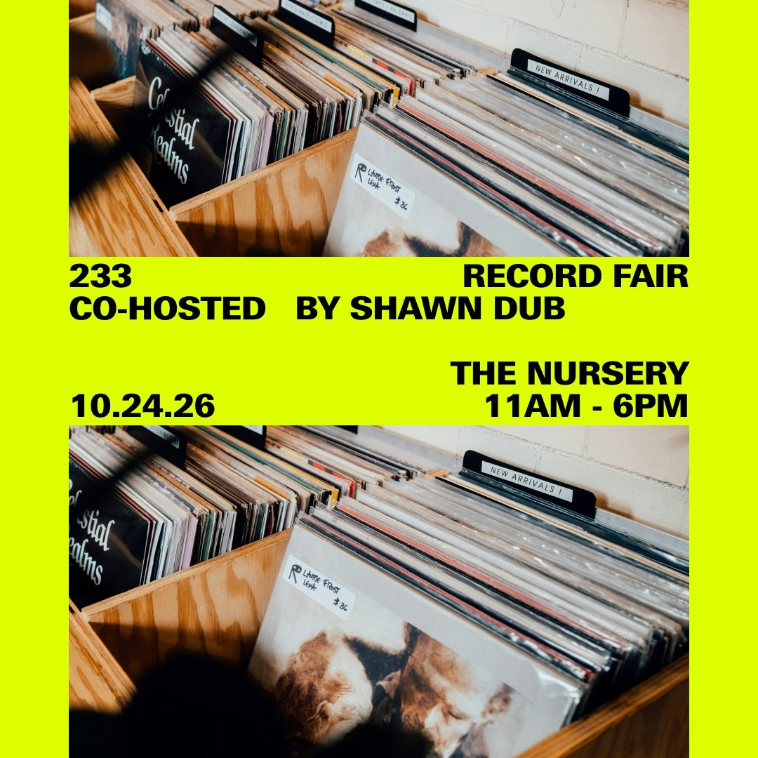233 Record Fair co-hosted by Shawn Dub