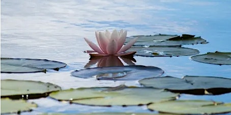 30 Minute Lunchtime Guided Meditation