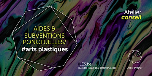 Atelier conseil  Arts Plastiques:  Aides et Subventions Ponctuelles