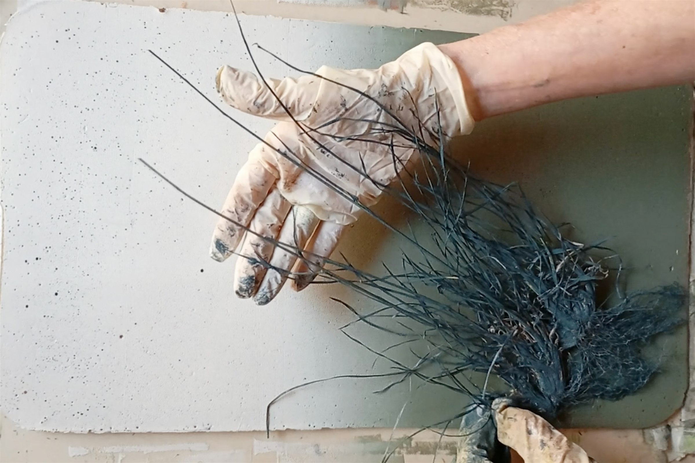 Wild Botanicals | Botanical Monoprinting Retreat in Umbria, Italy